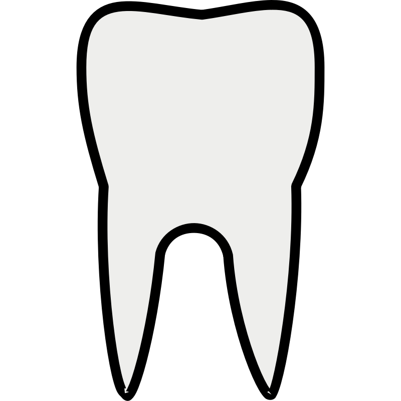800x800 Tooth Images Clip Art