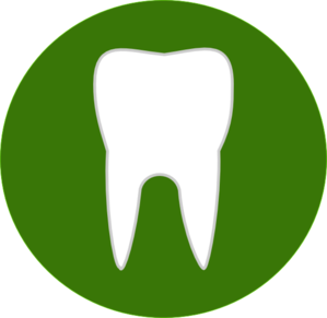 299x291 Tooth Clip Art