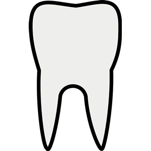300x300 Cartoon Tooth Clipart