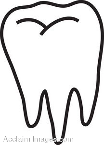216x300 Clip Art Tooth