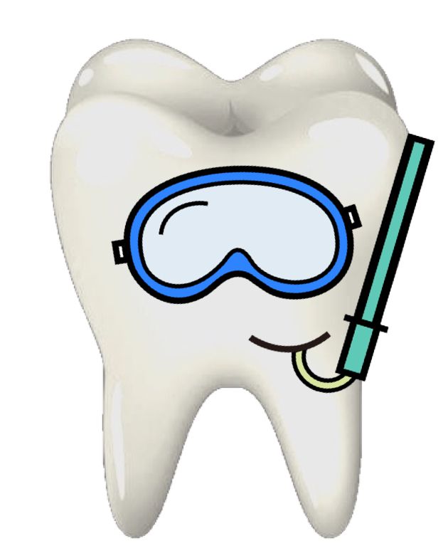 630x784 75 Best Summer Teeth Images Dental Health, Tooth