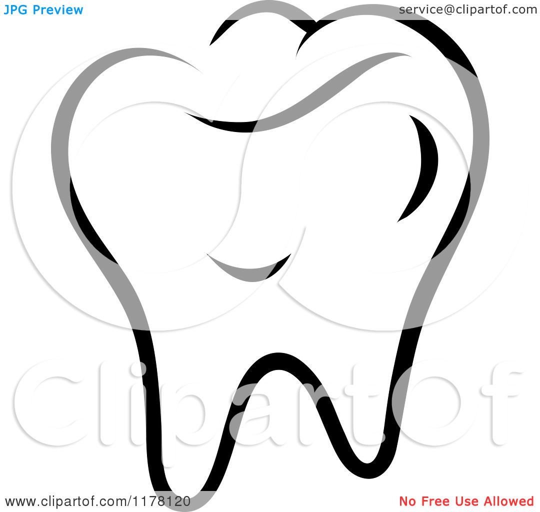 1080x1024 Molar Tooth Clipart