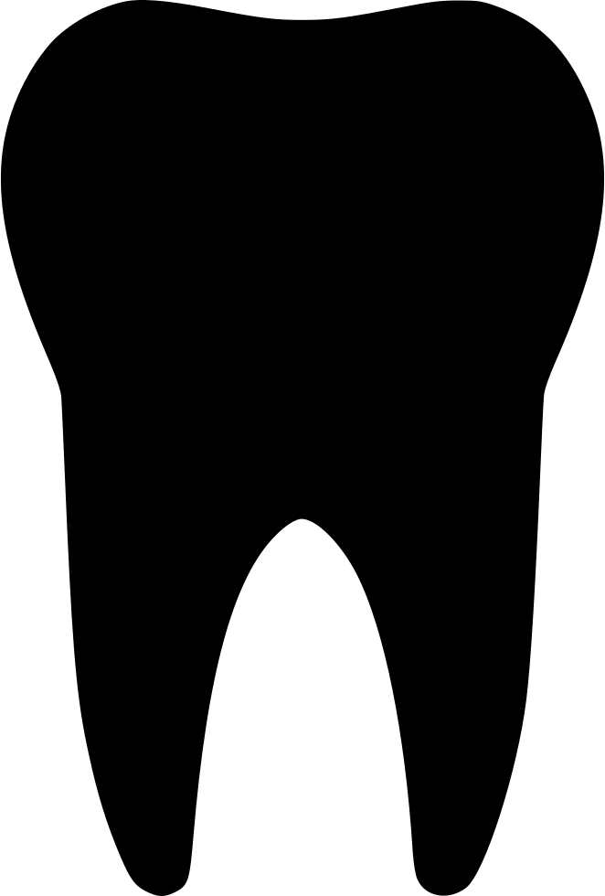 662x980 Tooth Svg Png Icon Free Download ( 490688)