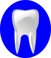176x198 Tooth Png Clip Arts, Tooth Clipart