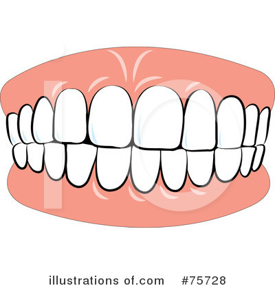 400x420 Illustration Clipart Tooth