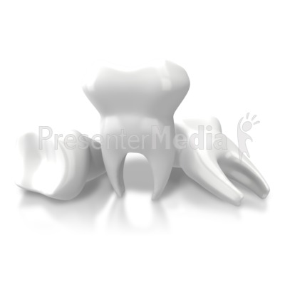 400x400 Brushing A Large Tooth