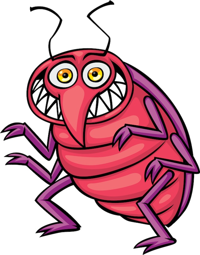 640x813 Funny Insect Clip Art Dromgif.top Thegioidongvat