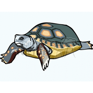 300x300 Royalty Free Land Tortoise 129939 Vector Clip Art Image