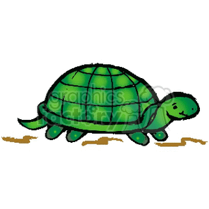 300x300 Royalty Free Little Green Turtle 133778 Vector Clip Art Image