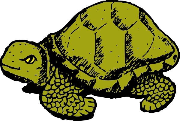 600x406 Tortoise And Hare Free Vectors Free Vector Download (68 Free
