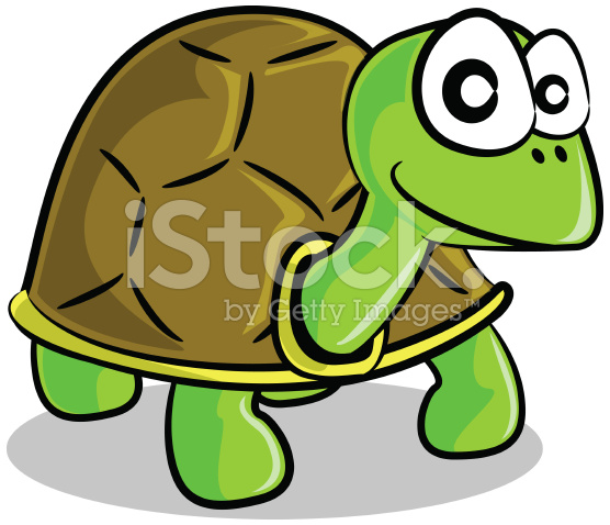 556x478 Tortoise Clipart Funny