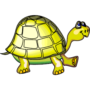 300x300 Tortoise Clipart Images