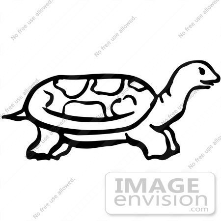 450x450 Clipart Of A Tortoise In Profile