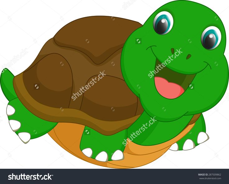 Tortoises Cartoon