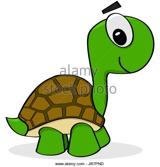 520x540 Illustration Tortoise Stock Photosmp Illustration