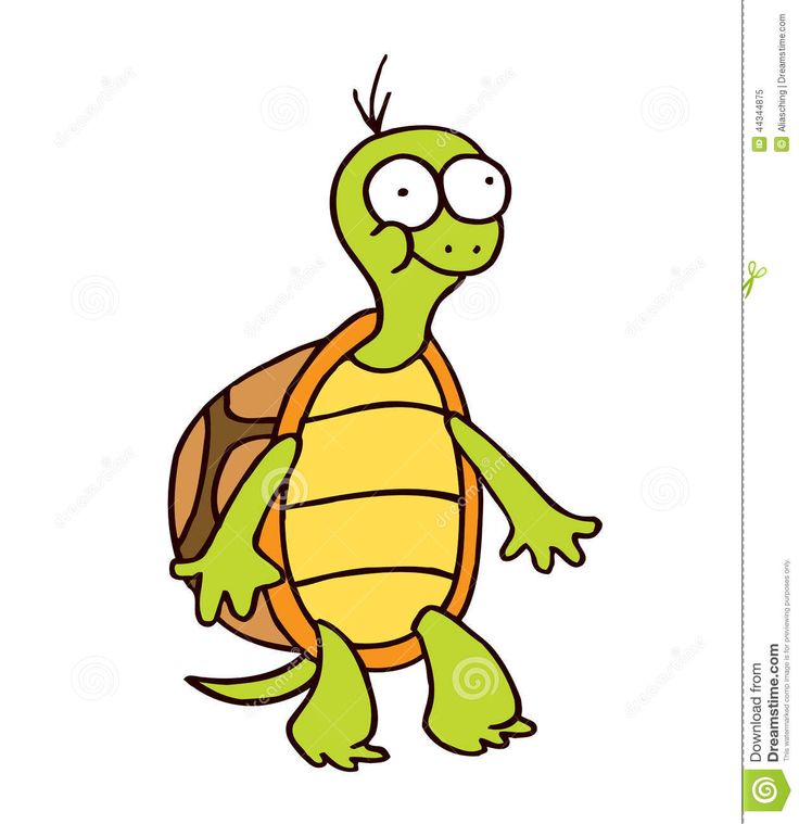 736x759 152 Best Turtles Images Character Drawing, Art
