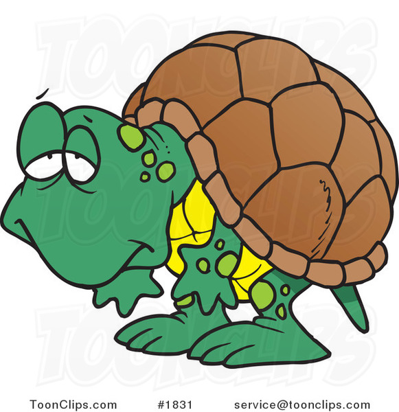 581x600 Tired Clipart Tortoise