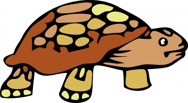 615x337 Tortoise Clipart