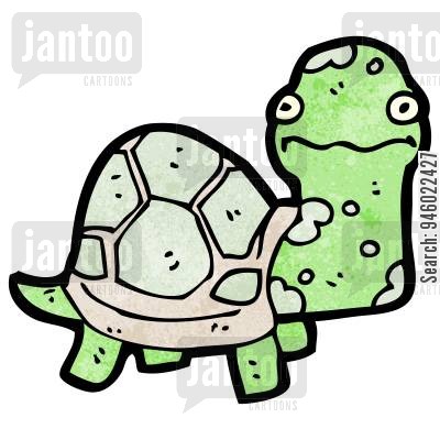 400x400 Testudinidae Cartoons