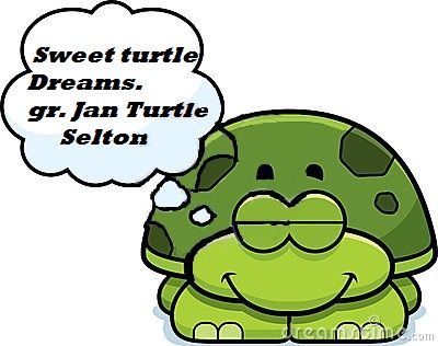 400x316 99 Best Sweet Dreams Turtels En Tortoises Friends Images