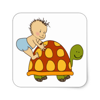 324x324 Cartoon Tortoise Stickers Zazzle