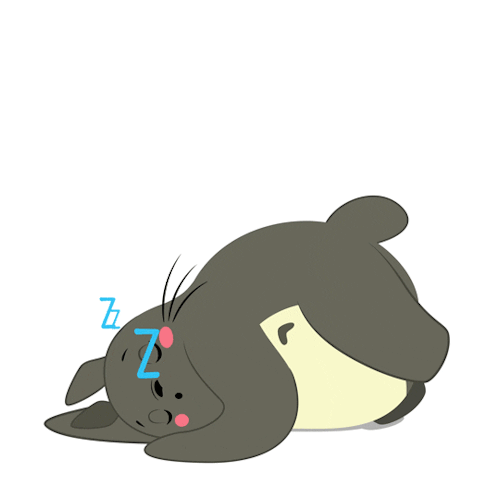500x500 Totoro Sleeping Gif Download Free