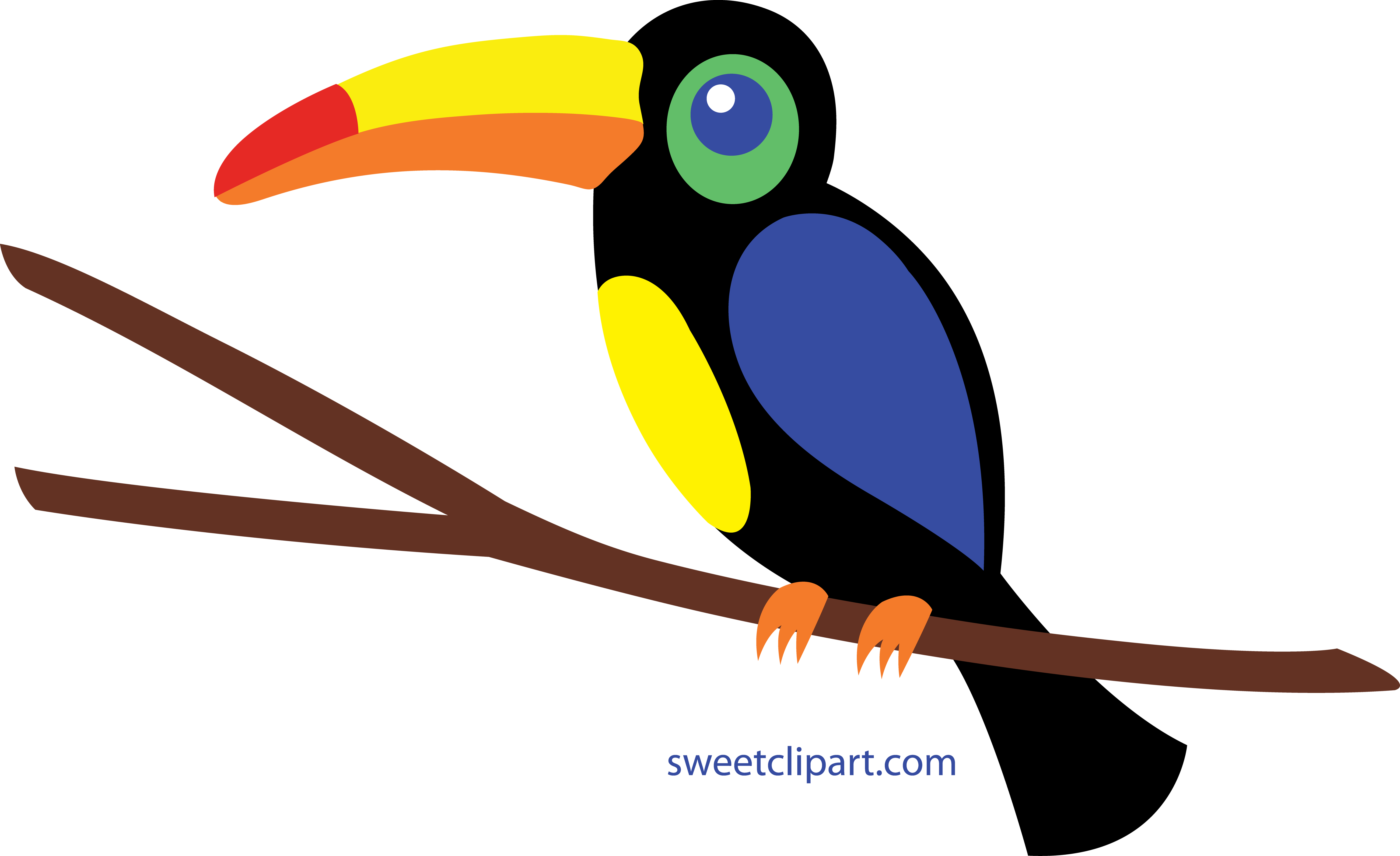 6000x3669 Colorful Toucan Clip Art