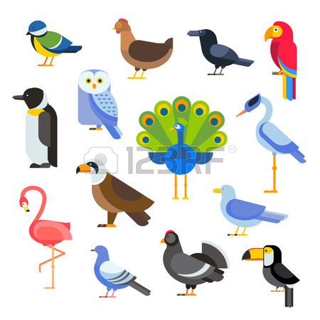 450x450 6,806 Toucan Stock Illustrations, Cliparts And Royalty Free Toucan