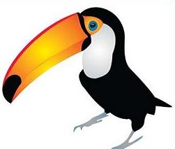 251x213 Toucan Clipart