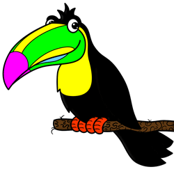 250x250 Cartoon Toucan Step By Drawing Lesson