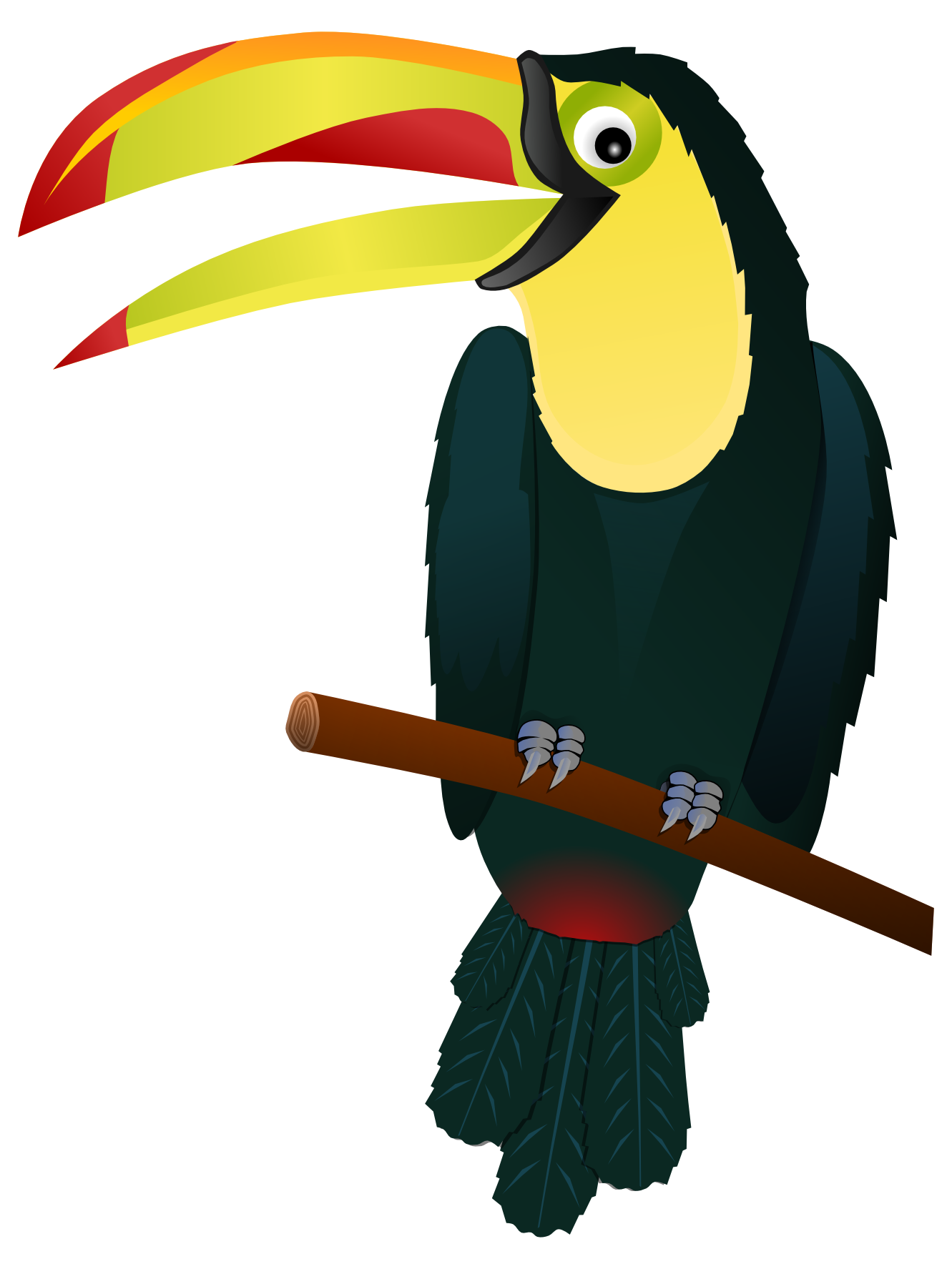 1331x1775 Parrot Clipart Toucan