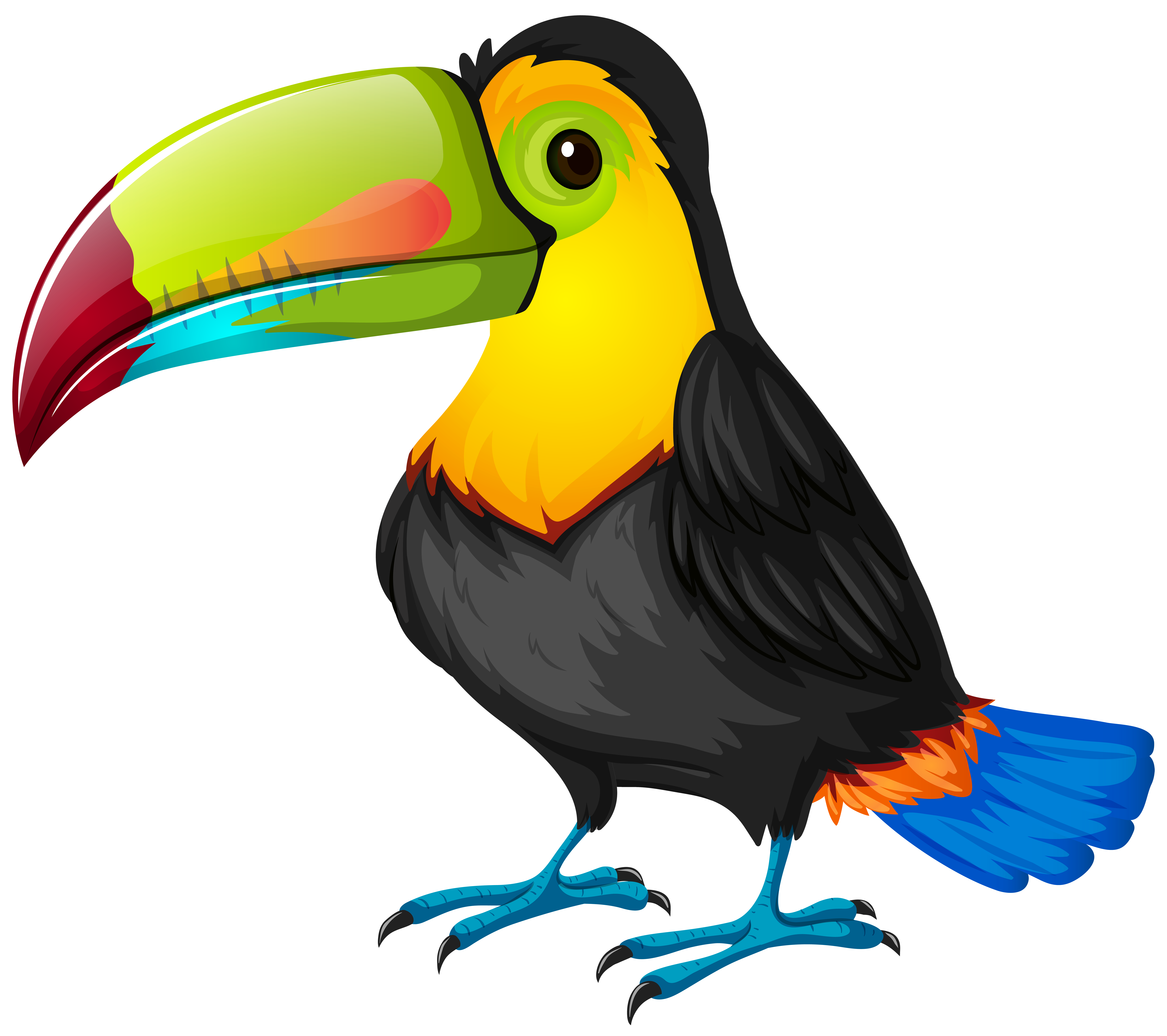 8000x7101 Toucan Cartoon Png Transparent Imageu200b Gallery Yopriceville