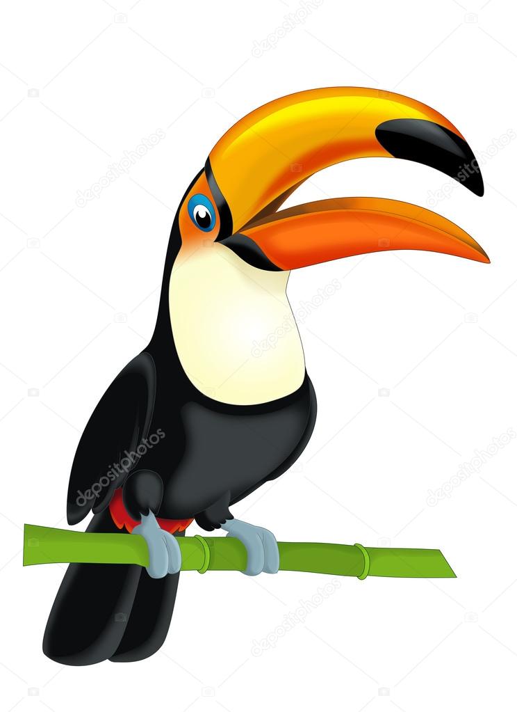 744x1023 Toucan Cartoon Godstyle Keywords And Pictures