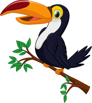 306x342 Toucan Vector Free Vector Download (34 Free Vector) For Commercial