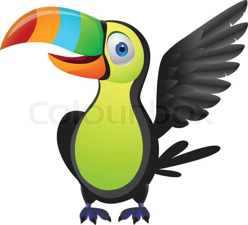800x726 Toucan Bird Cartoon Stock Vector Colourbox On Cartoon Toucan