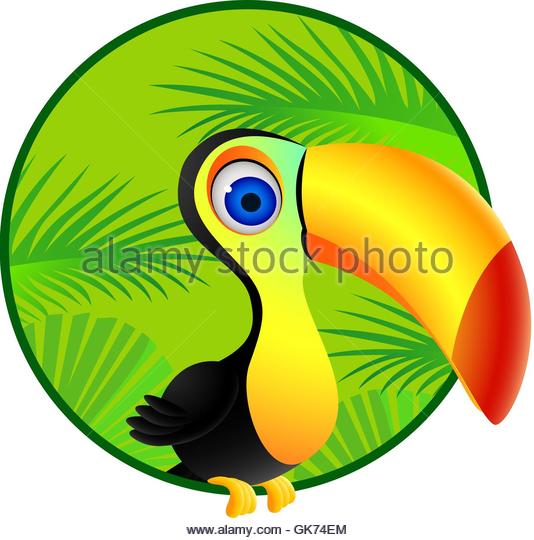 534x540 Cartoon Toucan Stock Photos Amp Cartoon Toucan Stock Images