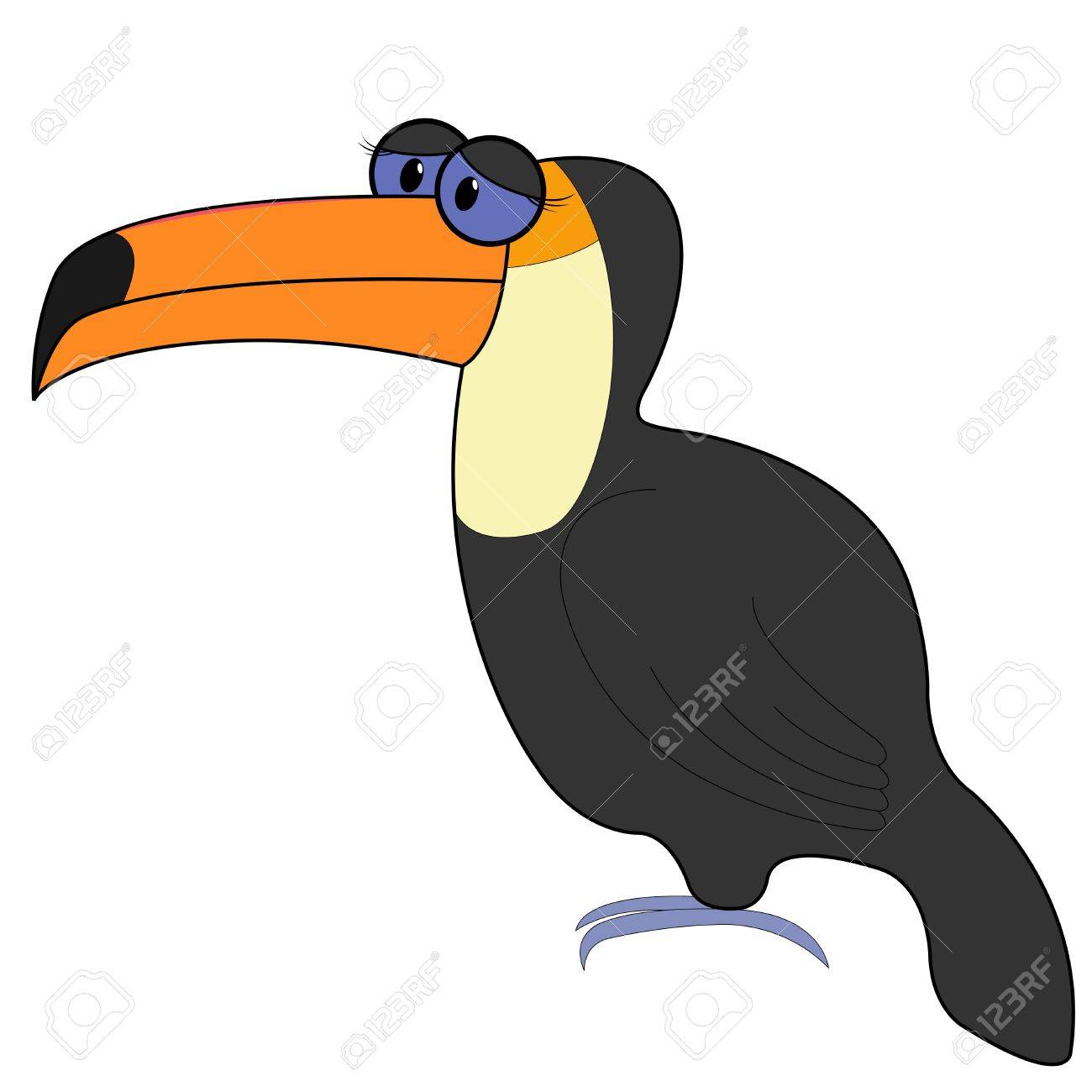 1300x1300 Toucan Isolated On White Background. Hand Drawing Cartoon Toco