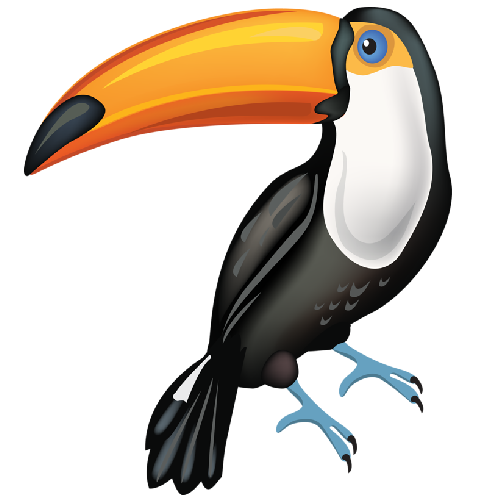 500x500 Toucan Parrot