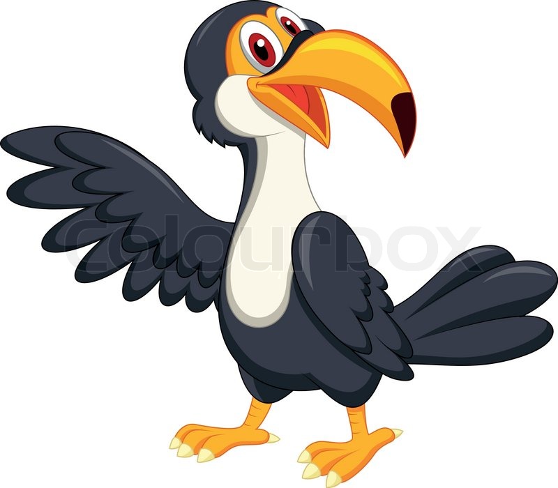 800x700 Vector Illustration Of Cute Toucan Bird Cartoon Waving Stock