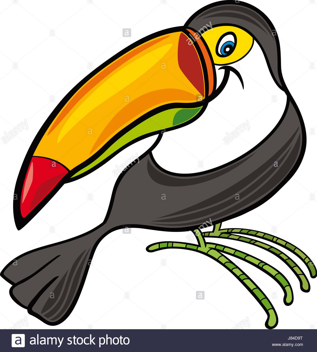 1252x1390 Animal Bird Illustration Beak Exotic Cartoon Toucan Travel Comic