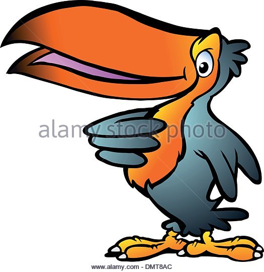 525x540 Cartoon Illustration Funny Toucan Stock Photos Amp Cartoon