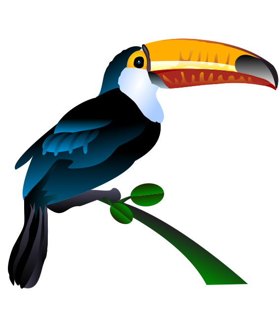 566x648 Free To Use Amp Public Domain Toucan Clip Art