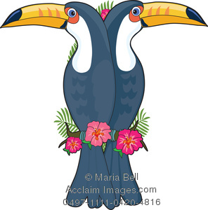 296x300 Letter T Is For Toucan, A Letter Of The Alphabet