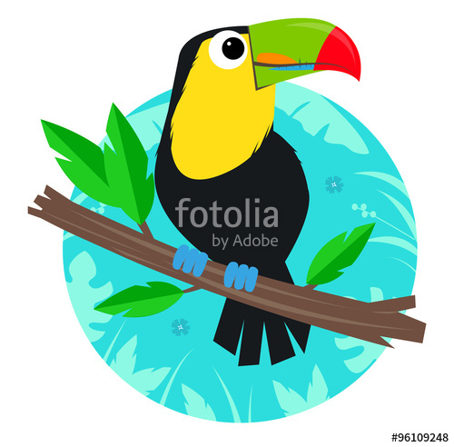 500x492 Toucan Clip Art