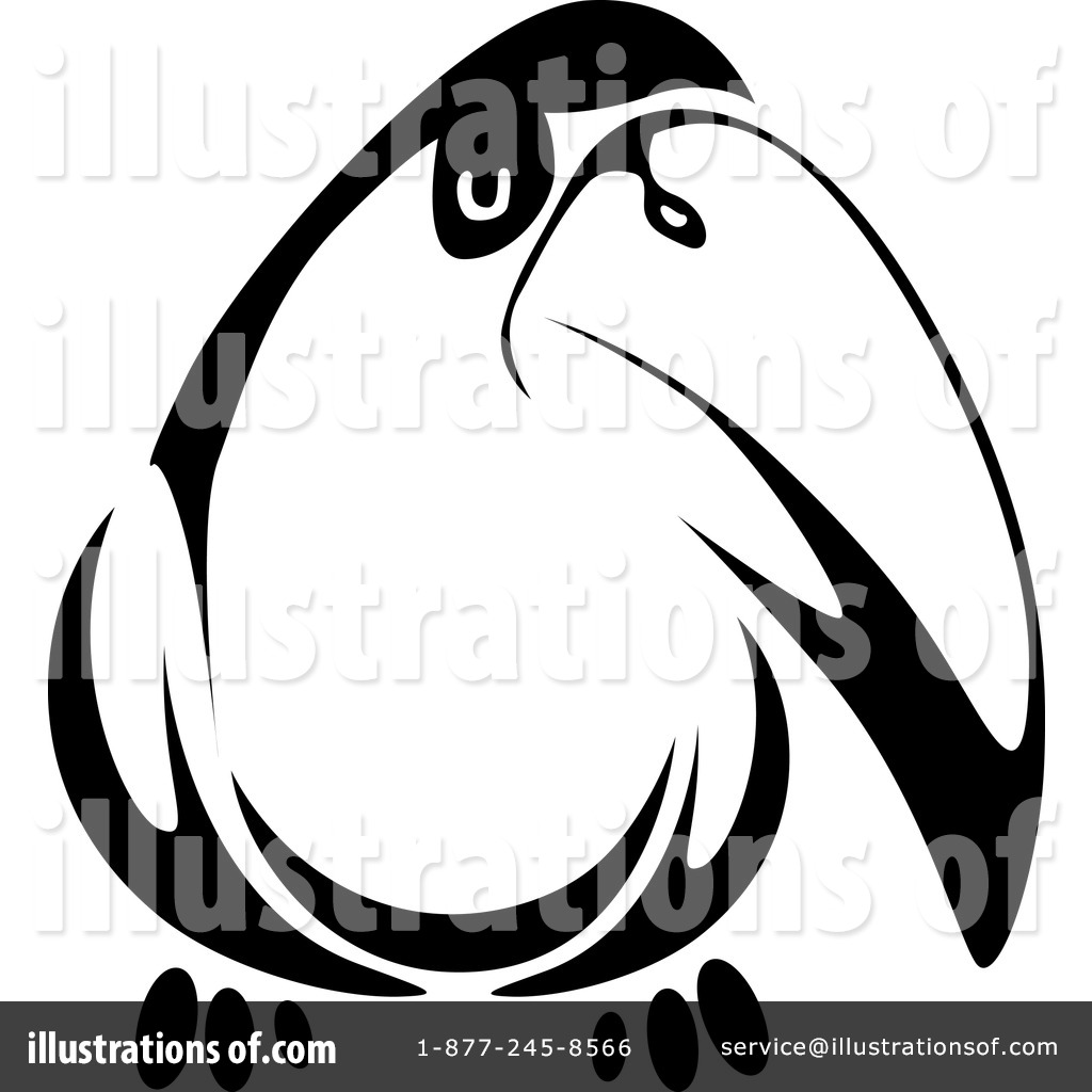 1024x1024 Toucan Clipart