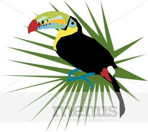300x267 Toucan Clipart Caribbean Clipart