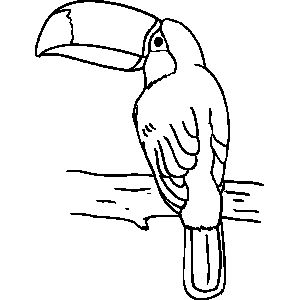 Toucan Clipart Black And White