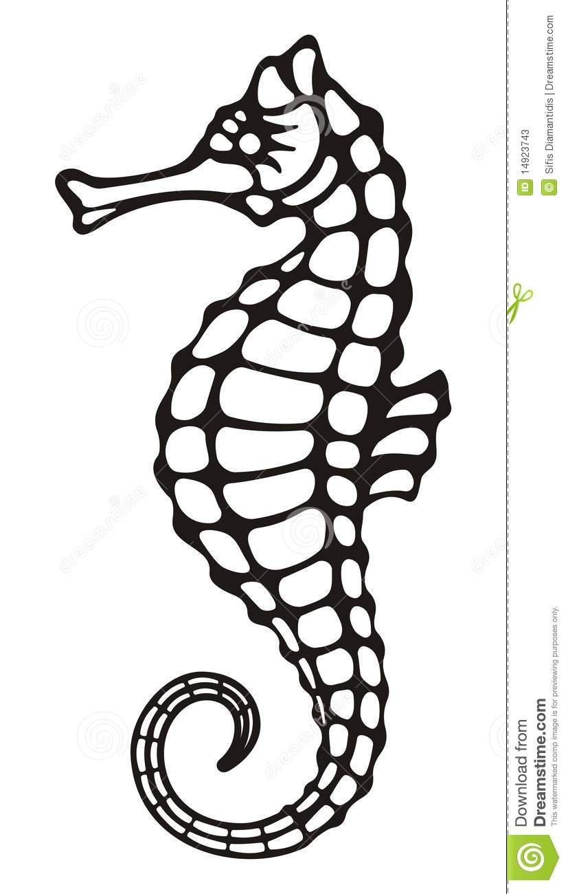 827x1300 Sea Horse Clip Art Black And White Clipart Panda