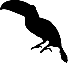 231x212 Toucan Silhouette Silhouette Of Toucan