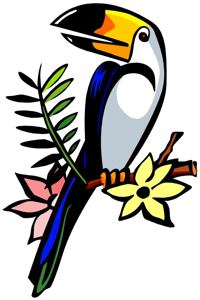 704x1053 Toucan Clipart